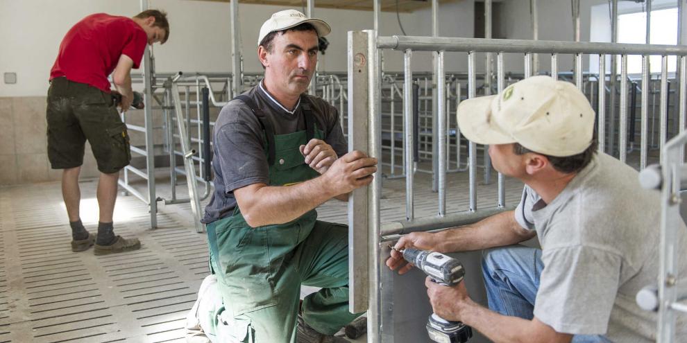 Auch Schweinehalter sollen von den geplanten Erleichterungen im Baurecht profitieren.