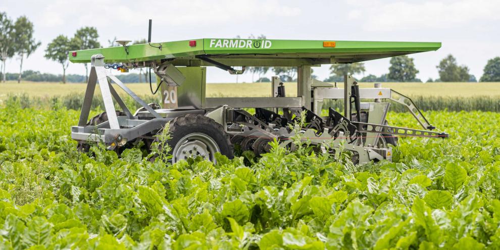 Autonome Feldroboter können die landwirtschaftliche Arbeit erleichtern. Das Bundesministerium will jetzt Landwirte bei der Anschaffung unterstützen.
