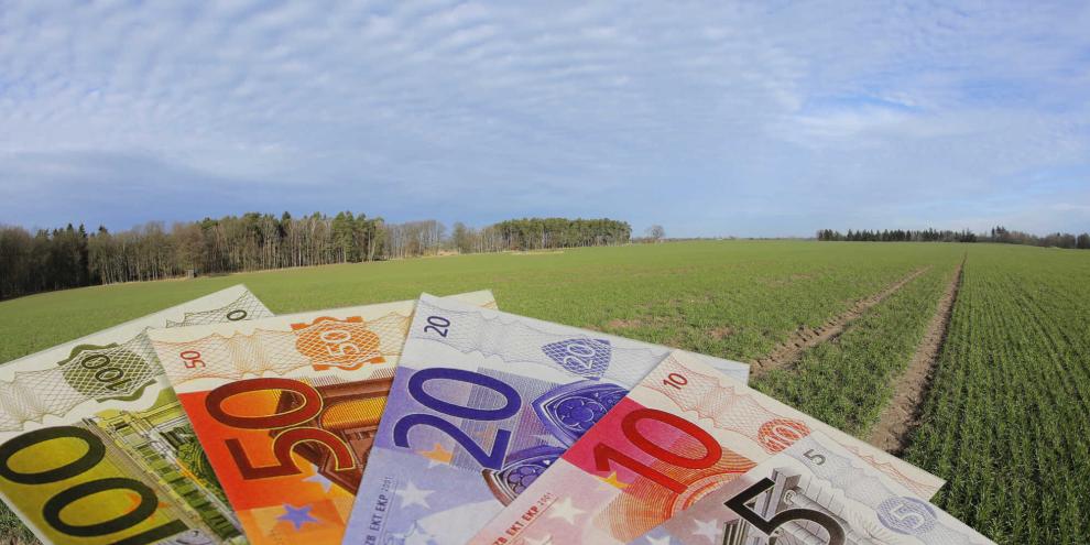 Euro-Scheine werden in die Kamera gehalten, im Hintergrund ist ein Feld zu erkennen.