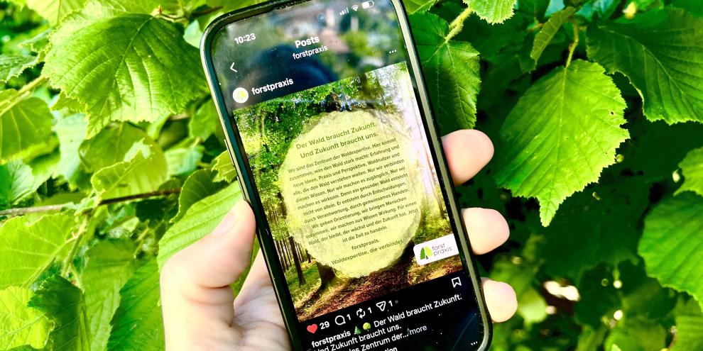 Forstpraxis im Insta-Format - auch unterwegs immer gut informiert und forstlich entertaint!