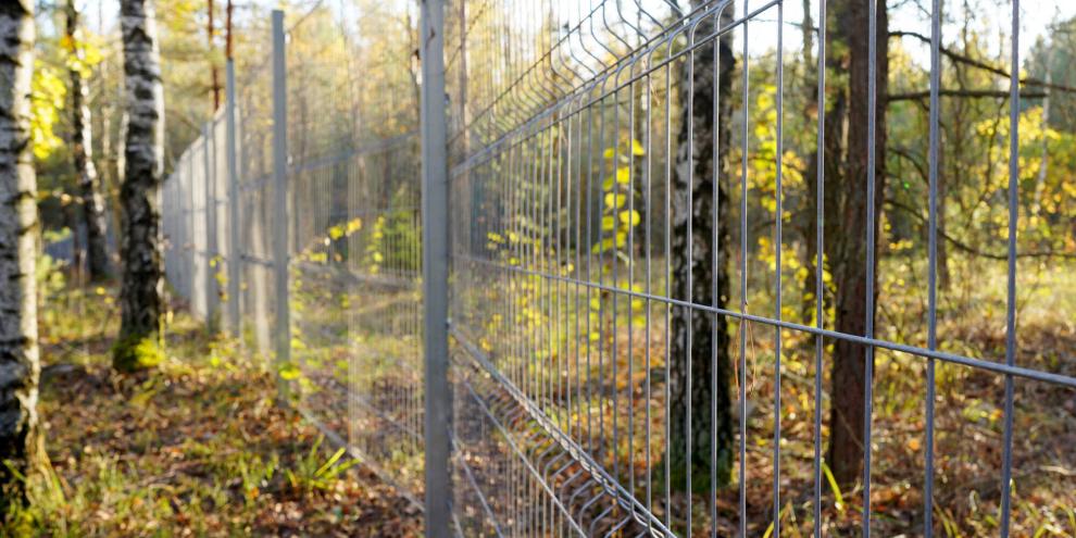 Wald-Zaun-AdobeStock_1124772283