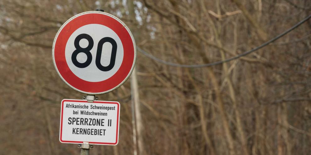 Das Landwirtschaftsministerium in Düsseldorf teilte mit, dass aufgrund neuer ASP-Fälle die Sperrzone ausgeweitet werden muss.
