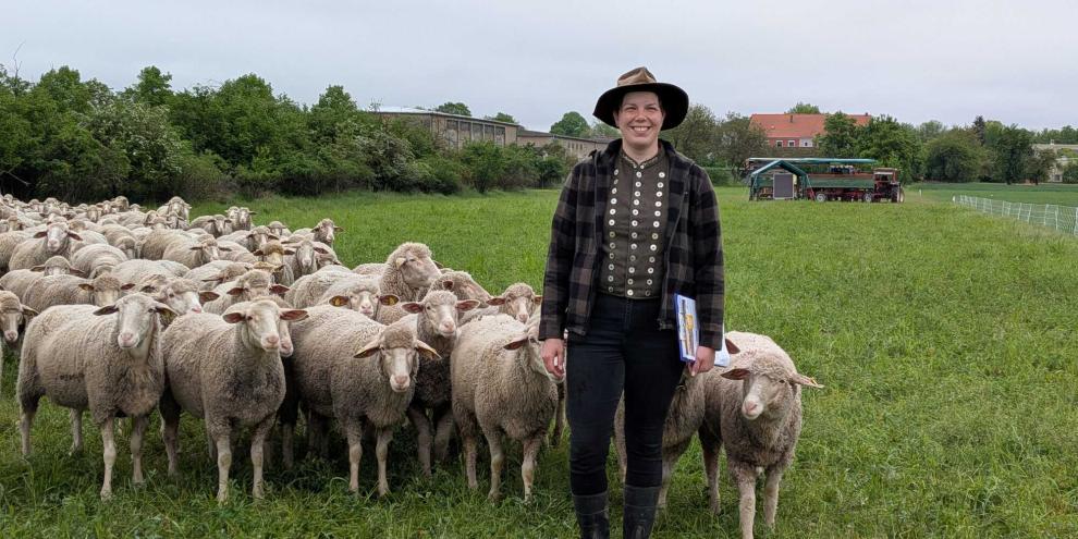 Über 400 Merinofleischschafe folgen Ulrike Wehrspon auf Schritt und Tritt.
