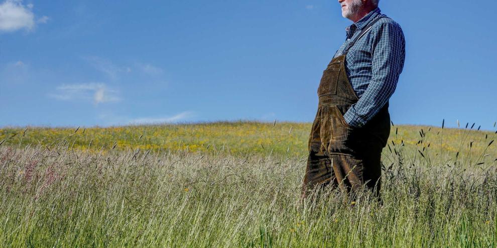 Landwirte blicken skeptisch auf die EU-Wiederherstellungsverordnung.