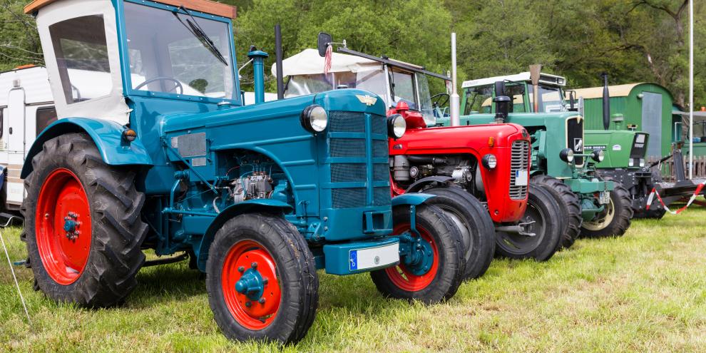 Oldtimertraktoren auf einer Wiese