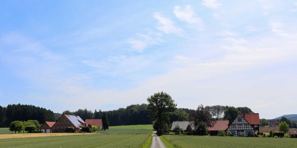 osnabrücker-land-bauernhof-AdobeStock_443317775