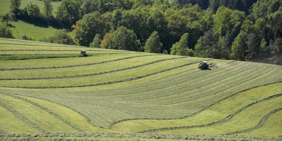 Ein Landwirt stand wegen seiner Mahd vor Gericht.