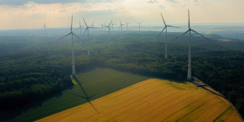 Klare Ablehnung erfährt ein Windkraft-Projekt in Friedrichroda. Der Stadtrat sprach sich eindeutig gegen Windräder im Wald aus. (Symbolbild)