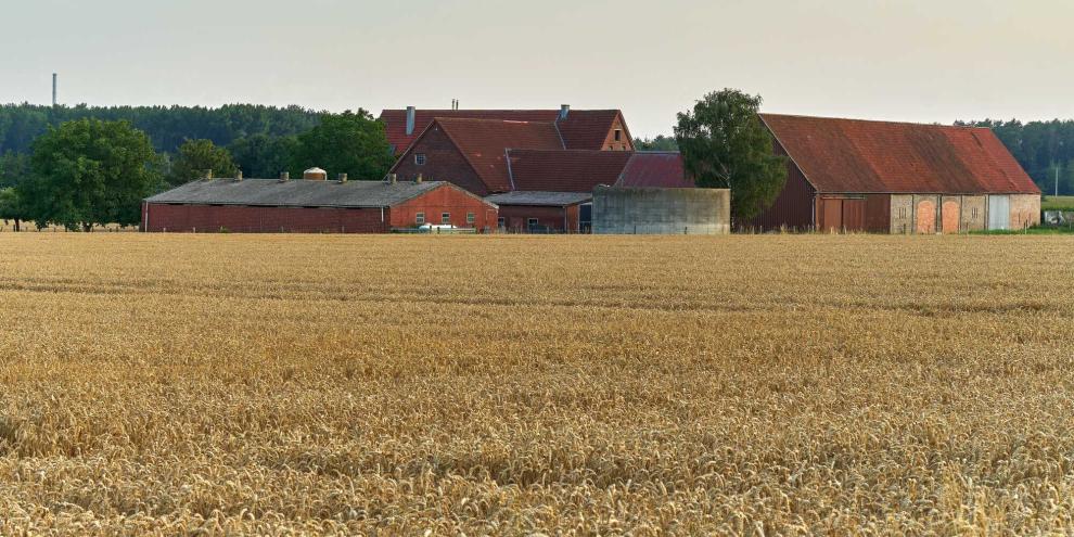 Bauernhof-Münsterland-AdobeStock_280357503