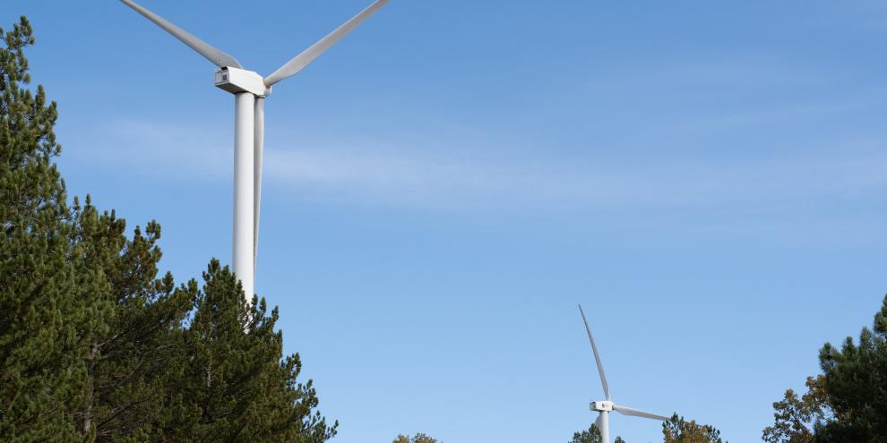 Windkraft im Wald sorgt für immer mehr Klagen.