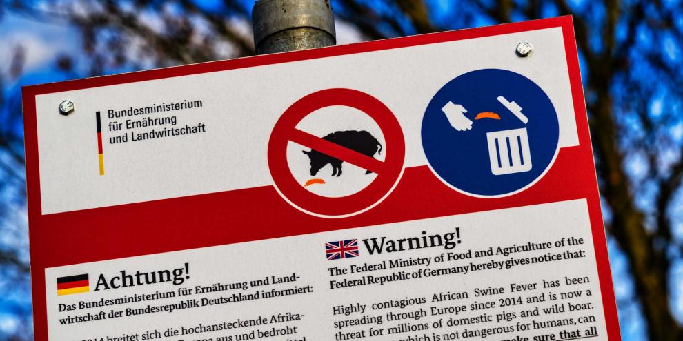 Warnschilder sind aufgestellt (Symbolbild). Um einen Wildschutzzaun jedoch, der das Risiko der Ausbreitung der Afrikanischen Schweinepest (ASP) senken könnte, streiten die Behörden.