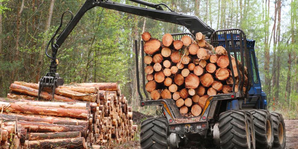 Holzernte-Harvester-AdobeStock_52805353