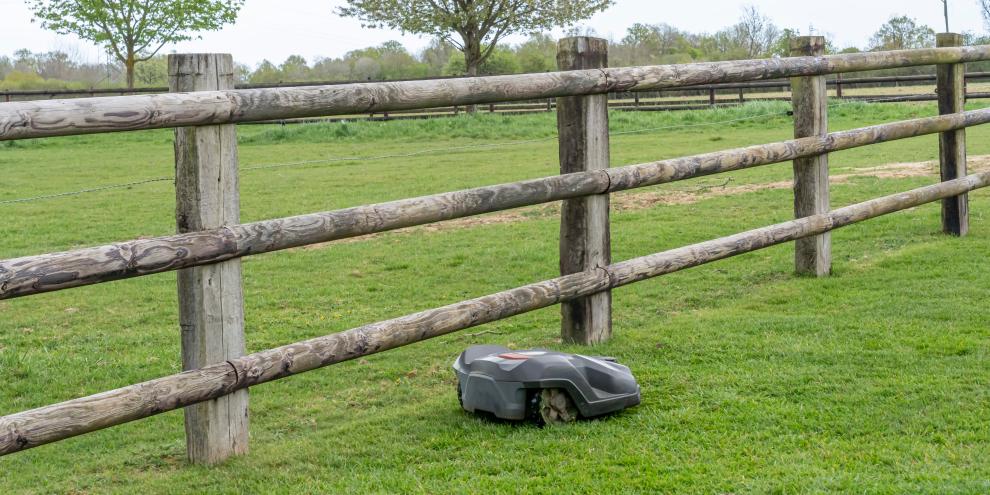 Das Gras wächst: Diese Mähroboter sind aktuell stark reduziert.