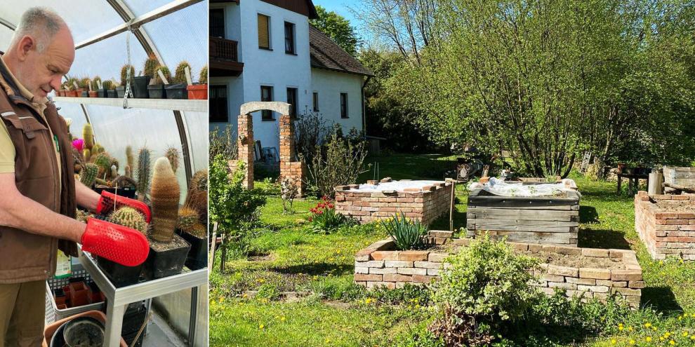 Ein Mann bei den Kakteen im Gewächshaus, er fasst sie mit Handschuhen an. Rechts ein Bild mit Blick auf den Garten mit Hochbeeten aus Steinen gebaut. 