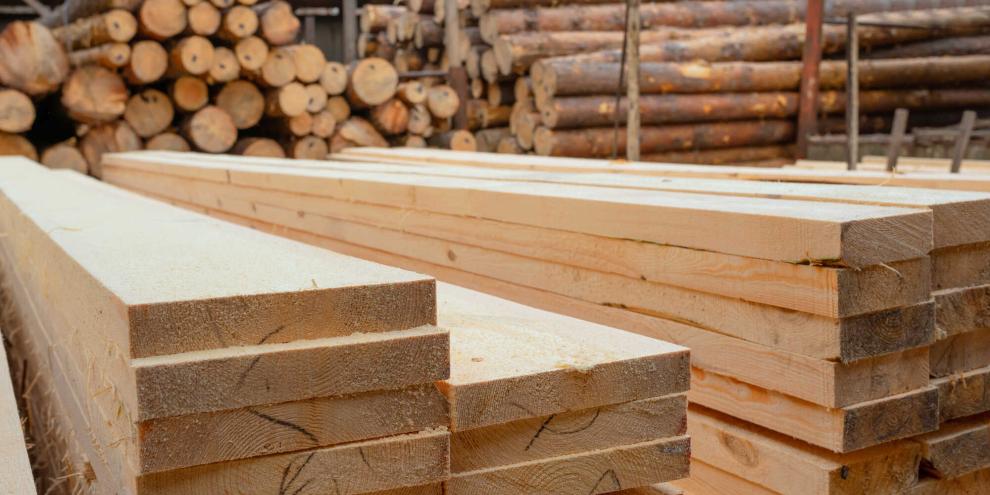 Holz-Sägewerk-AdobeStock_471820035