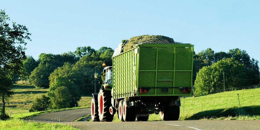 Landwirtschaftsweg-AdobeStock_206569662