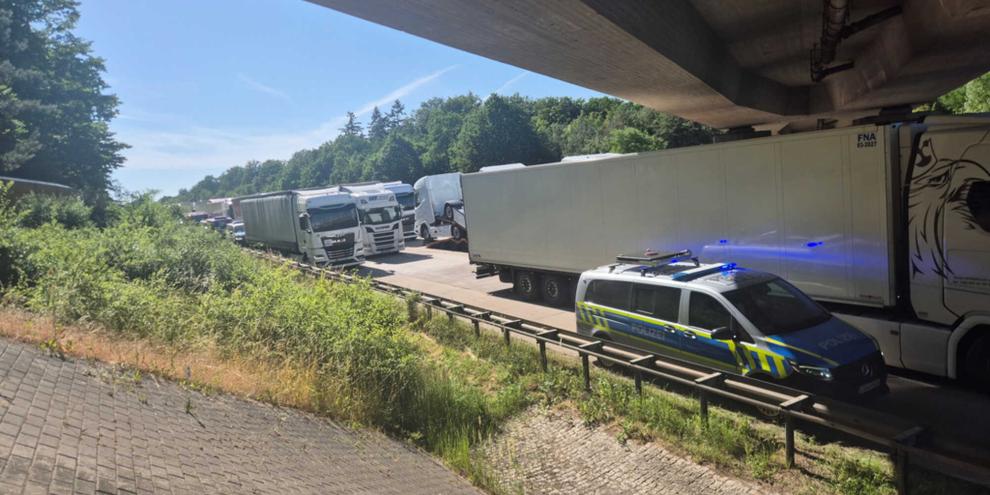 Die Polizei konnte zwar ein größeres Tiersterben verhindern - aber dennoch wurden gegen die Verantwortlichen des Tiertransportes rechtliche Schritte eingeleitet.