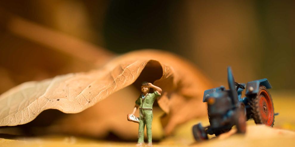 Landwirte sind kein Spielzeug in der Klimakrise.Sie können handeln, ja, müssen es sogar.