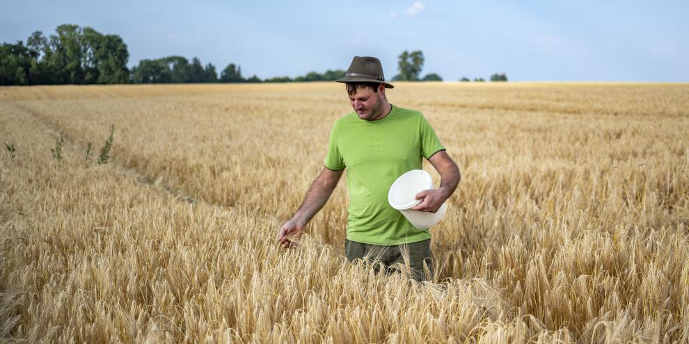 Feuchtigkeit messen im Getreide
