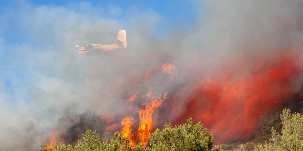 In Südeuropa wüten aktuell verheerende Waldbrände. Ermittlungen begründen in Italien einen grausamen Verdacht.