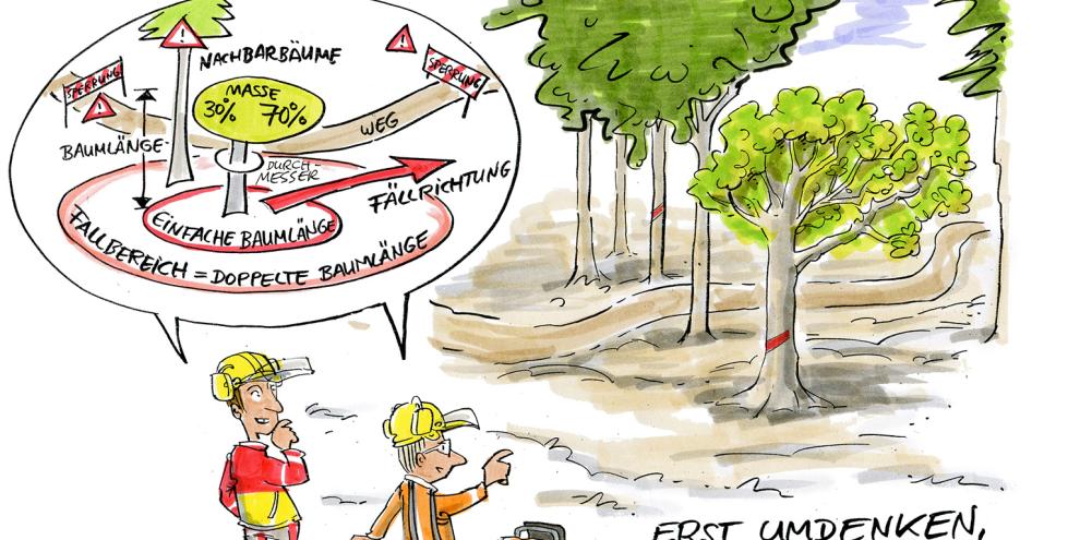 Die Baumbeurteilung vor der Fällung sorgt für Sicherheit bei der Fällung.
