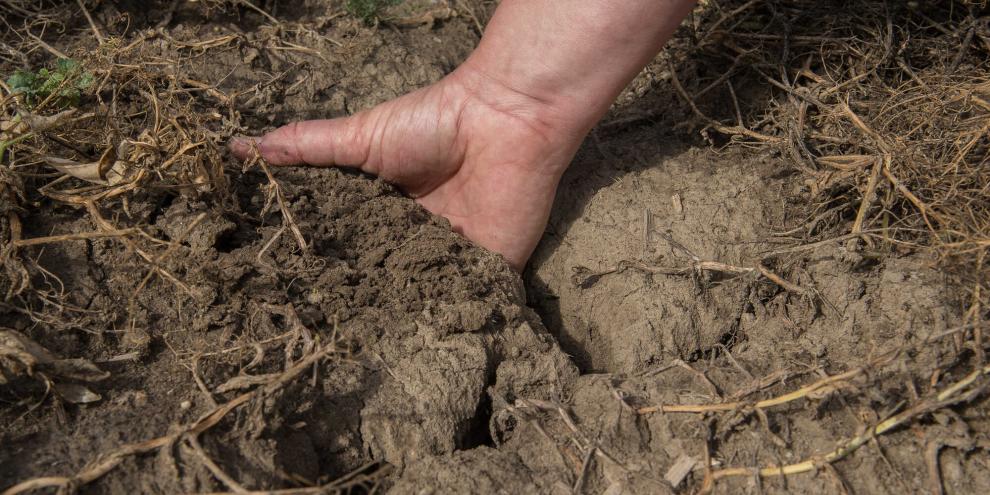Trockenrisse im Boden: Im Klimawandel künftig häufiger zu finden.
