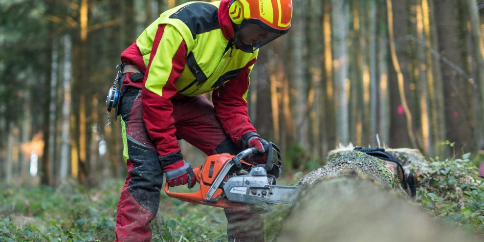 Bei Verstößen gegen die EU-Entwaldungsverordnung drohen Waldbauern drastische Sanktionen.