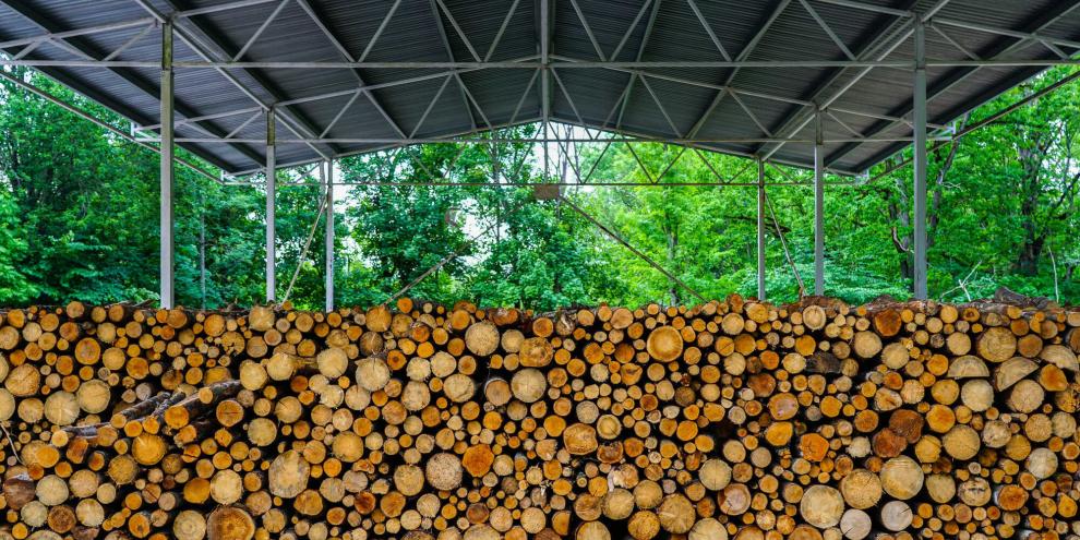 Holzlager-AdobeStock_458125910