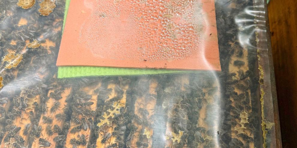 Gekühlte, verdunstende Ameisensäure dehnt sich durch Erwärmung stark aus.