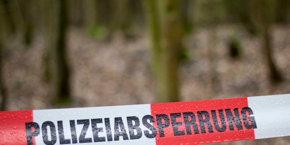 Auf einer Wildwiese im Wald fuhr ein Jäger bei der Bodenbearbeitung über eine Granate und hatte Glück, nicht verletzt zu werden (Symbolbild).