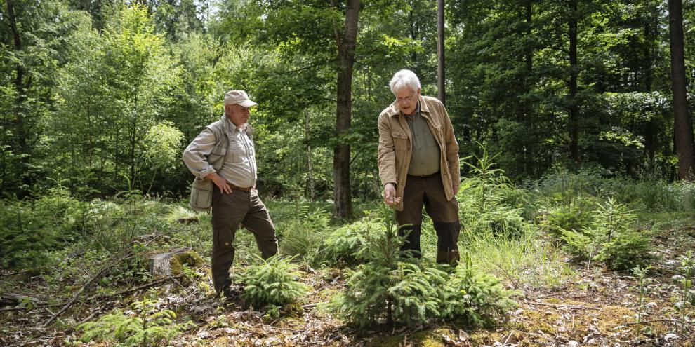 Berwig Hitzer (r.) im Element: Der öffentlich beeidigte Forstsachverständige erstellt unter anderem Gutachten zum Wildverbiss.