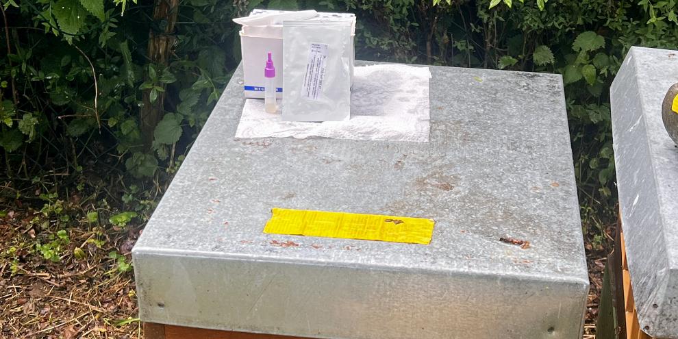 Schnelltests können Imkern helfen, direkt am Bienenstand Krankheiten wie Viren nachzuweisen.