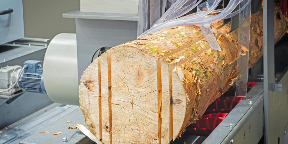 Sägewerkstechnik und Holzwerkstoffherstellung sind stärker vom Abschwung betroffen als Weiterverbeitungstechnik.