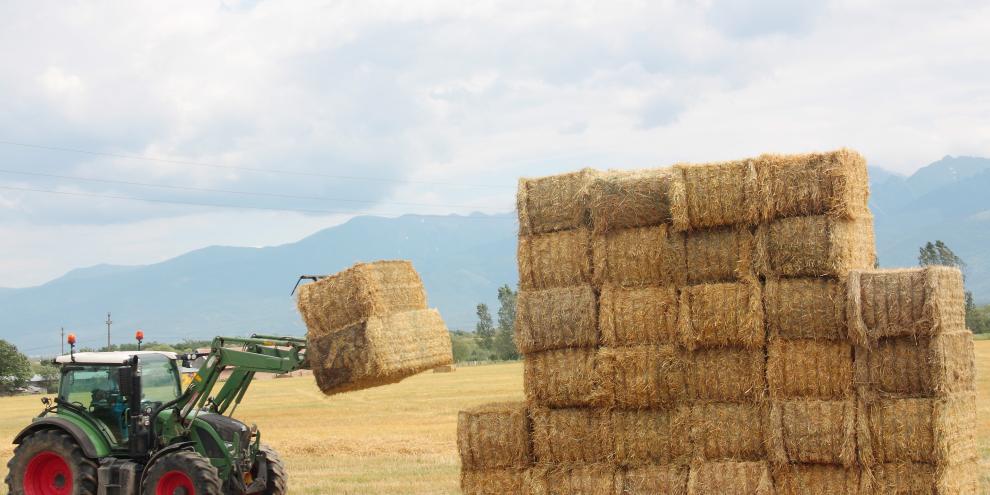 Landwirt zeigt Spanngurt-Trick: So sind Gurte in Sekunden aufgerollt