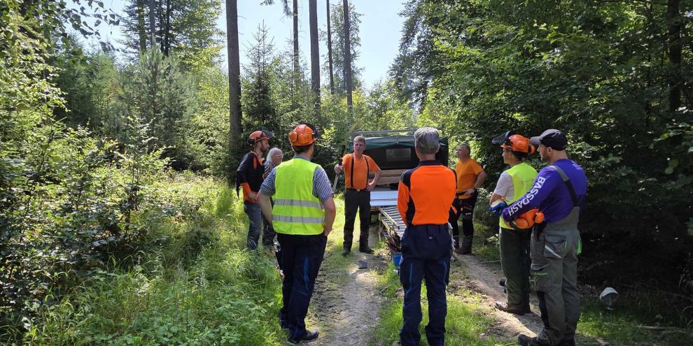 Die Astung ist ein wichtiger Faktor zur Steigerung der Holzqualität - aber nur, wenn die Astung fachgerecht erfolgt. Das nötige Wissen dazu kann man zum Beispiel im Rahmen eines Kurses erlangen, so wie hier an der Waldbauernschule in Kelheim.