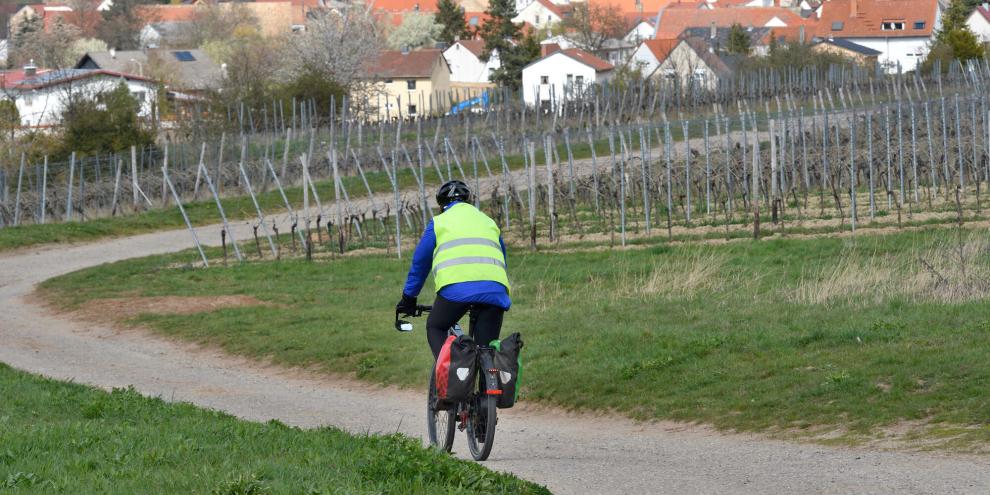 Radfahrer-auf-Feldweg-AdobeStock_427636303