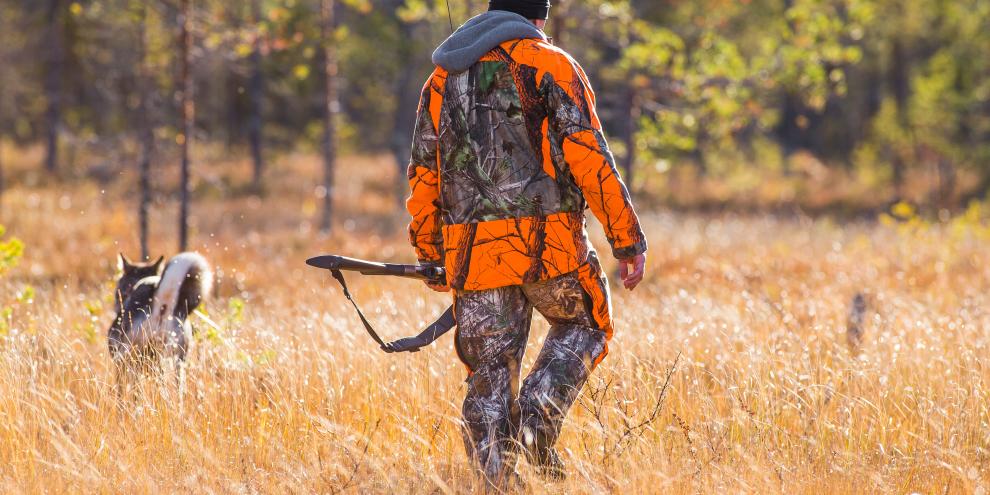 Jagd in Schweden ist oft mit viel Laufen verbunden. Deswegen fordert ein Politiker nun, das die Jagd ebenfalls bezuschusst werden soll (Symbolbild).