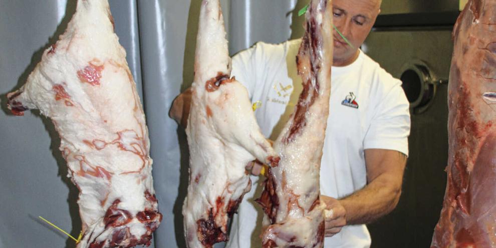 Die schrittweise Verarbeitung der Waschbären zu hochwertigen Lebensmitteln gleicht der anderen Wilds.