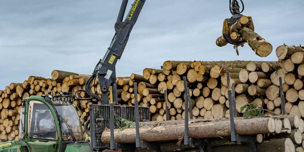 Beim Holzverkauf müssen Waldbauern in der Regel keine Geodaten liefern.