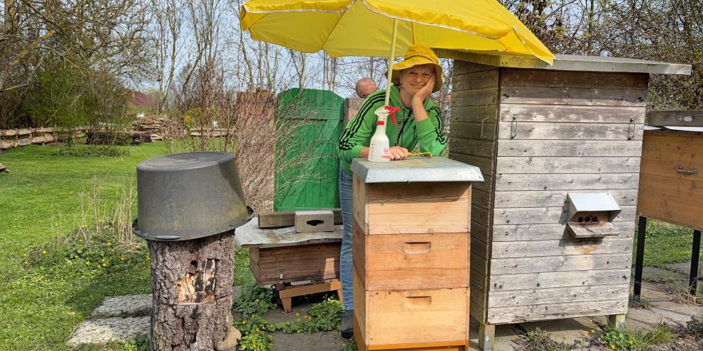 Ein Sonnenschirm kann helfen, die Mittagshitze am Bienenstand abzumildern.