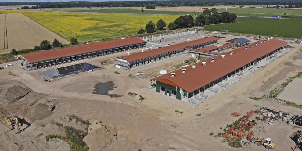 Bei Wittstock/Dosse entsteht eine der größten Bio-Sauenanlagen Deutschlands.