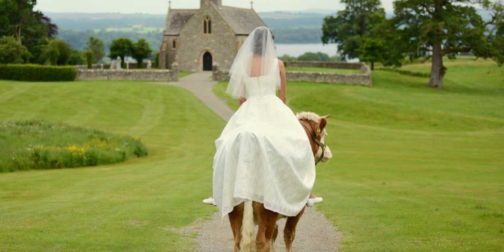 Auf dem Rücken der Kuh zum Traualtar? Warum nicht, dachte sich Landwirtin Victoria Lee. Am Hochzeitstag sollten schließlich alle dabei sein, die einem wichtig sind – Mensch und Tier (Symbolbild)!