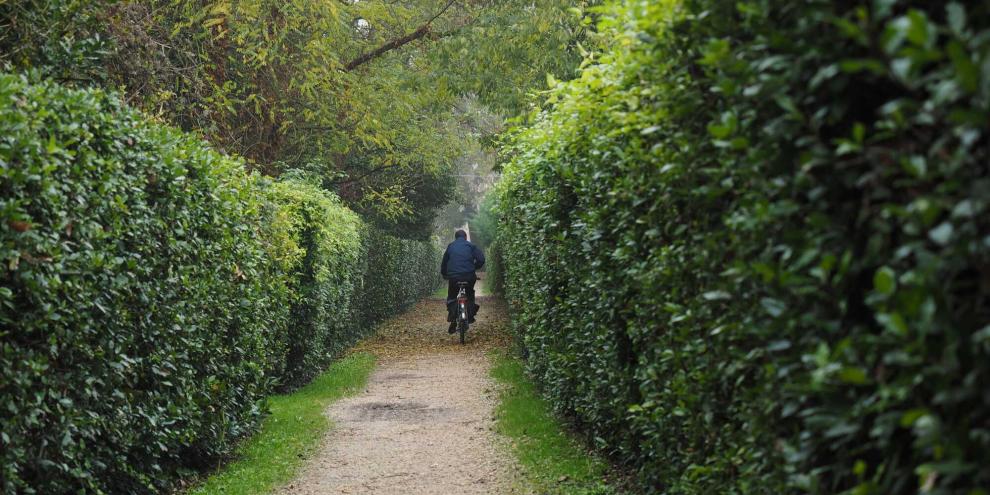 Hecke-Fahrradweg-AdobeStock_181031818