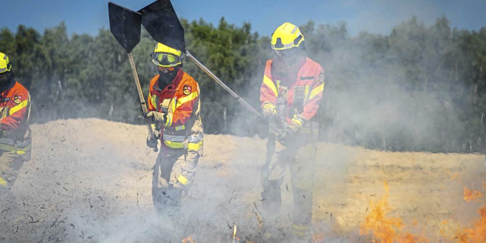 <b><i>Übung im Forest Camp 2026:</i></b> Bevor es zum Ernstfall kommt, kann waldbaulich eine Menge getan und das Brandrisiko vermindert werden.  Foto: WKR-Projekt, Wiktor Feliks
