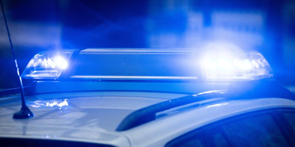 Schüsse sorgten für einen Polizeieinsatz im Forst.