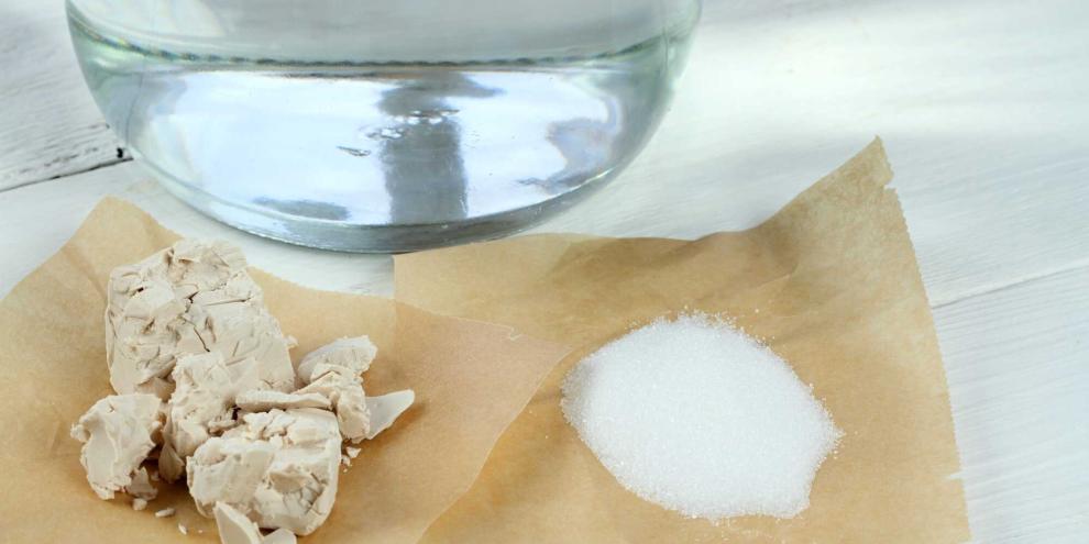Die Hausmittel Hefe und Zucker als Dünger? Der Garten-Hack verspricht mehr als er wirklich bringt.