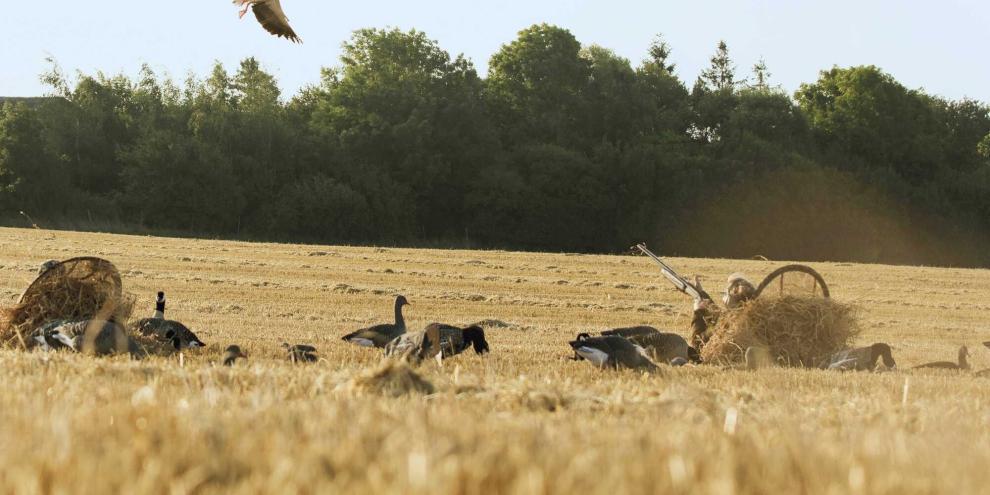 Gans-Jaeger-Schuss