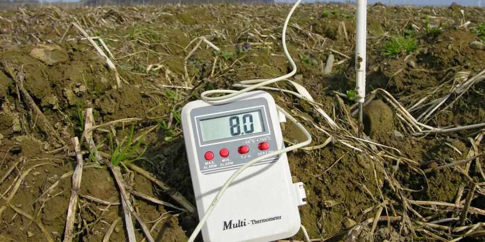 Bodenthermometer misst die Bodentemperatur