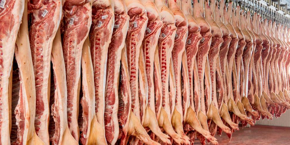 Die australische Schweinefleischbranche ist von einem schweren Betrugsfall betroffen. Vier Personen sollen rund 40 Mio. Dollar beiseite geschafft haben.