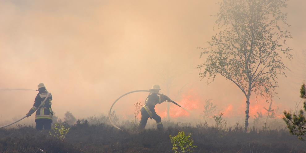 Bis die Feuerwehr einen Brandherd im Wald erreicht, kann es dauern. Deshalb ist eine gute Vorbereitung entscheidend.